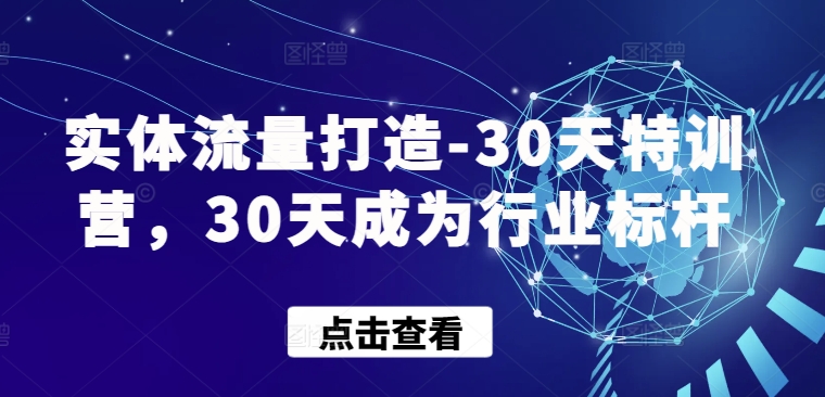 实体流量打造-30天特训营，30天成为行业标杆-OG网创