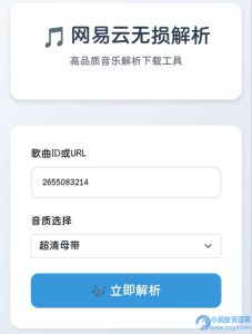 网易云解析+0成本免服务器永新久搭建部署-OG网创