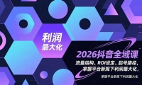 （16984期）2026抖音全域课，流量结构、ROI设定、起号路径，掌握平台新规下利2最大化-OG网创
