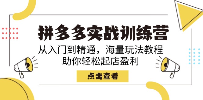（14392期）拼多多实战训练营，从入门到精通，海量玩法教程，助你轻松起店盈利-OG网创