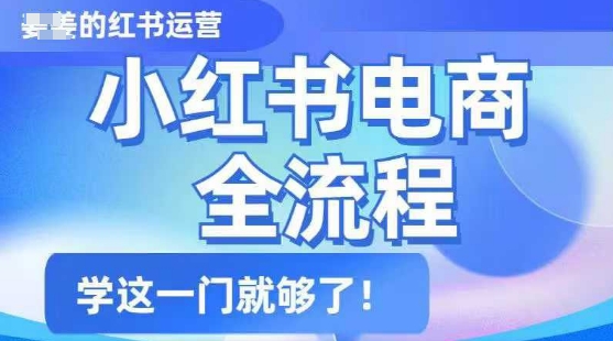 小红书电商全流程，精简易懂，从入门到精通，学这一门就够了-OG网创
