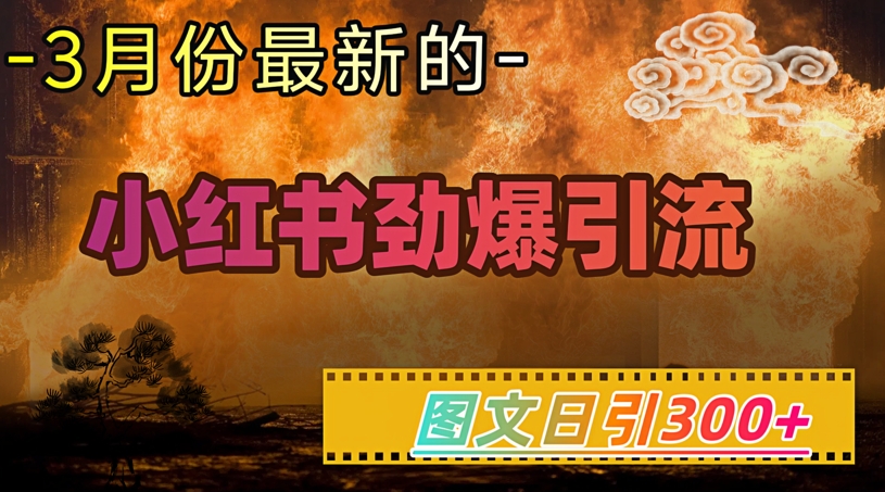 小红书超劲爆引流手段，图文日引300+轻松变现1W-OG网创