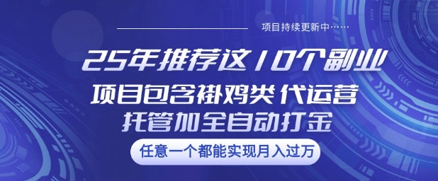 25年推荐这10个副业项目包含褂鸡类、代运营托管类、全自动打金类【揭秘】-OG网创