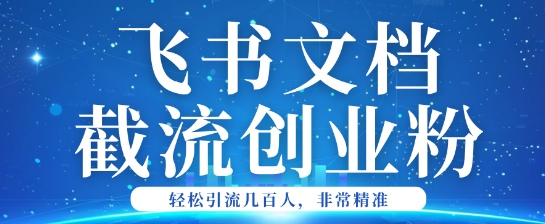 利用飞书文档截流创业粉轻松引流200+-OG网创