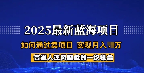 2025蓝海项目，普通人如何通过卖项目，实现月入过W，全过程【揭秘】-OG网创