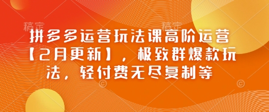 拼多多运营玩法课高阶运营【2月更新】，极致群爆款玩法，轻付费无尽复制等-OG网创